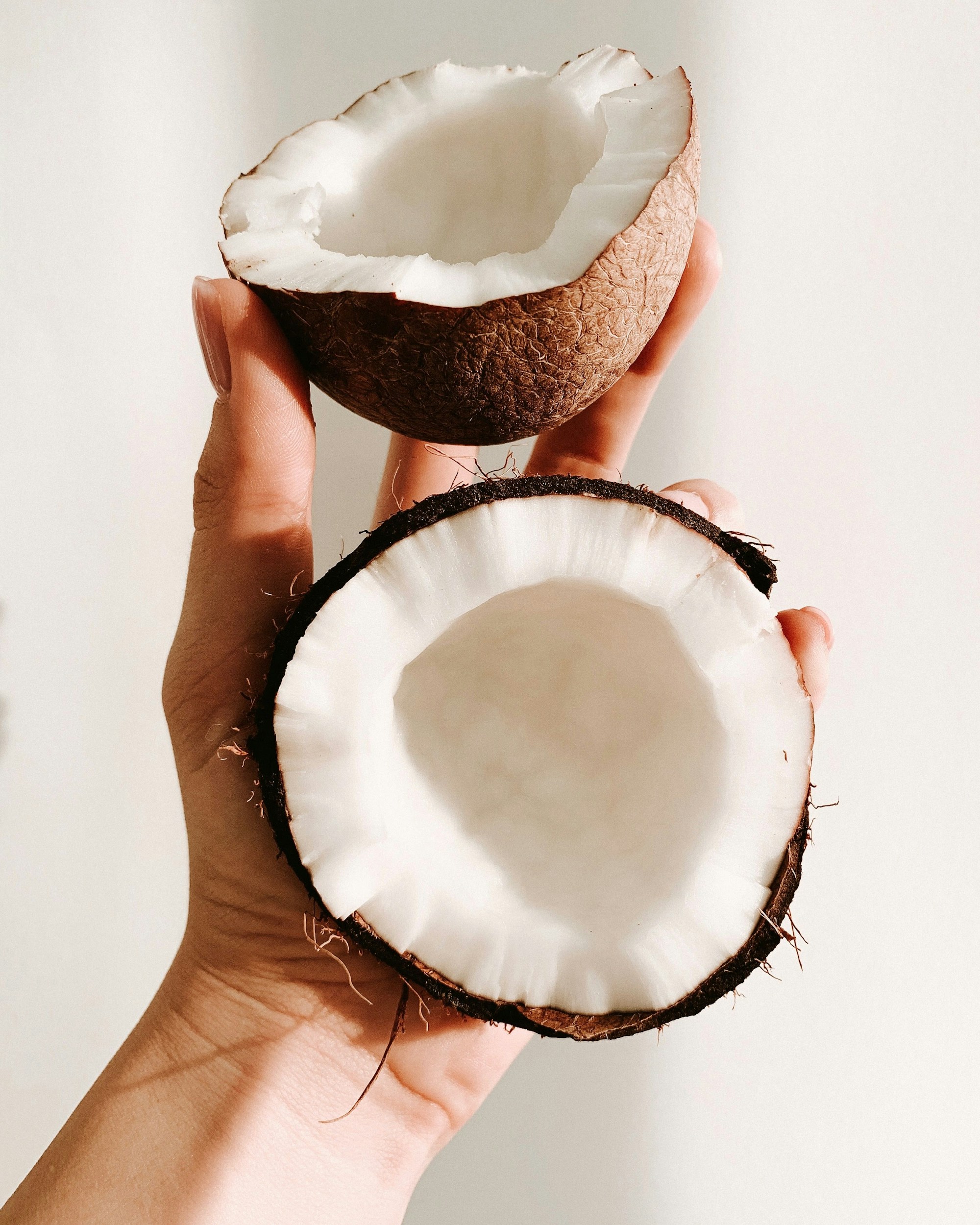 Coconut, babassu & palm kernel